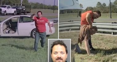 Good Samaritan beaten by man he stopped to help in Florida: video