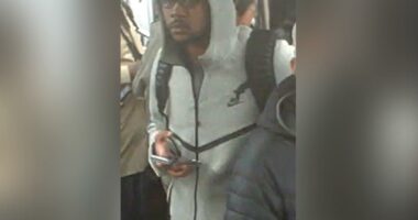 Good Samaritan slashed in face while trying to break up fight on NYC train: cops, sources