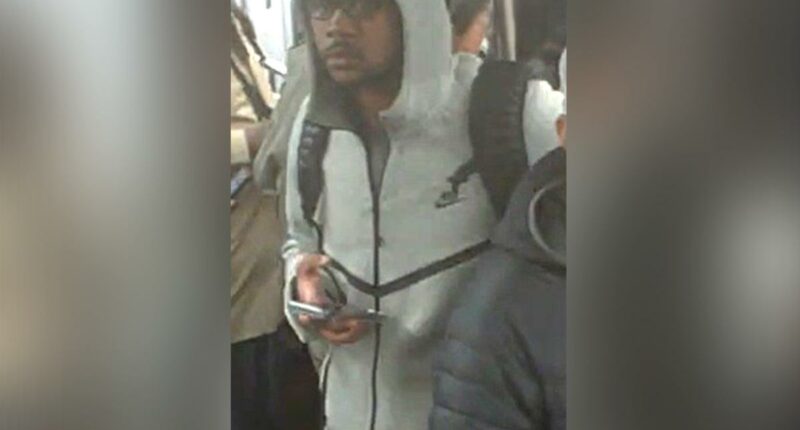 Good Samaritan slashed in face while trying to break up fight on NYC train: cops, sources
