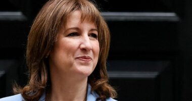 Government's tax take reaches record high as Labour's tax hikes on business prop up public finances