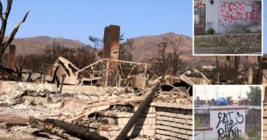Graffiti vandals target Pacific Palisades wildfire homes as rebuild stalls