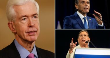 Gray Davis gives shock advice for 2026 California governor's race