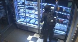 Greggs axes food and drink fridges in new anti-shoplifting measure