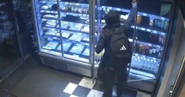 Greggs axes food and drink fridges in new anti-shoplifting measure