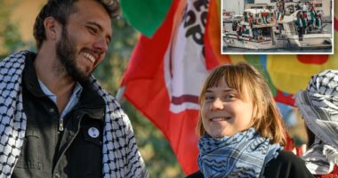 Greta Thunberg's freedom flotilla faces sexual misconduct allegations