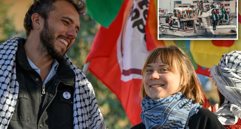 Greta Thunberg's freedom flotilla faces sexual misconduct allegations