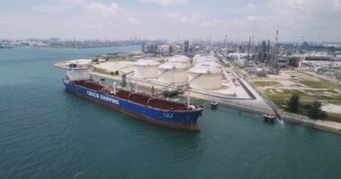 Half our petrol supply riding on PM's trip to Asian neighbour