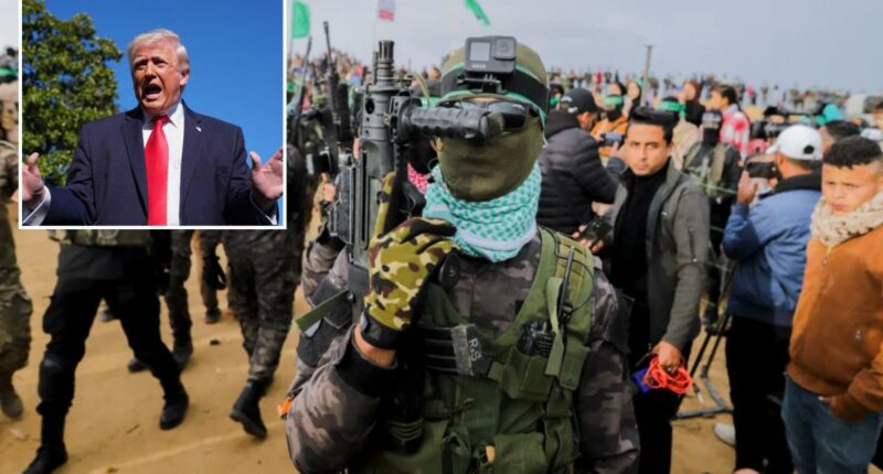 Hamas reps meeting with Egyptian negotiators to discuss Trump's Gaza peace plan