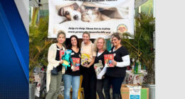 Harbor House of Central Florida helps domestic violence survivors keep pets by their side