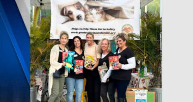 Harbor House of Central Florida helps domestic violence survivors keep pets by their side