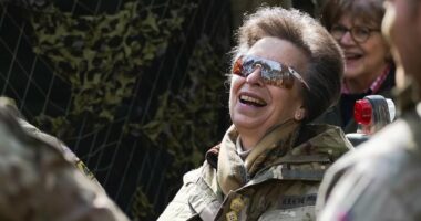 Hard-working Princess Anne wears camouflage uniform as she visits The King's Royal Hussars in Salisbury and gets stuck into training exercises