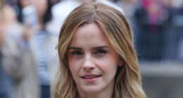 Harry Potter star Emma Watson and a mysterious escape after her dinner