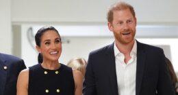 Harry and Meghan's Australian tour starts amid bafflement