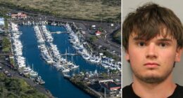 Hawaii tourist charged with attempted murder, accused of stabbing veteran boat captain on snorkel tour