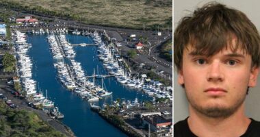 Hawaii tourist charged with attempted murder, accused of stabbing veteran boat captain on snorkel tour