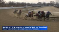 Hawthorne Race Course in Stickney to resume horse races amid financial problems, bankruptcy