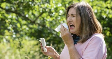 Hay fever sufferers urged to try 1 'life-changing' thing most people don’t know about