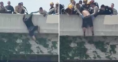 Heart-stopping moment rescuers swoop in on man trying to jump from LA overpass