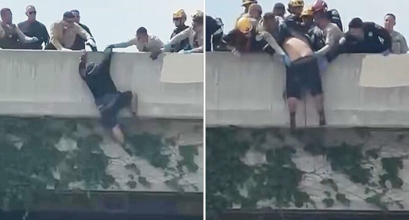 Heart-stopping moment rescuers swoop in on man trying to jump from LA overpass