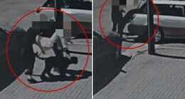 Heartless dognappers caught on tape stealing Labradoodles from SoCal car