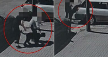 Heartless dognappers caught on tape stealing Labradoodles from SoCal car