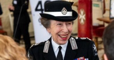 Here comes 'amazing' Anne! Princess Royal praised as a 'formidable force' after reception for St John Ambulance in London
