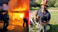'Hero Hound' sounds alarm, saves family from devastating inferno