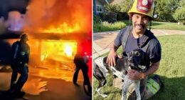 'Hero Hound' sounds alarm, saves family from devastating inferno