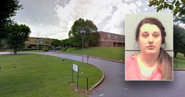 High school counselor pleads guilty to multiple sex crimes involving teen she was meant to help