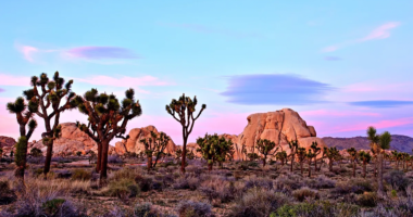 Hiker stumbles on human skull in iconic desert as mystery grows and detectives open homicide probe