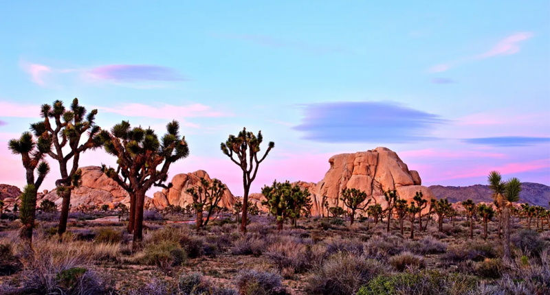 Hiker stumbles on human skull in iconic desert as mystery grows and detectives open homicide probe