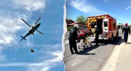 Hiker stung more than 100 times by bees near Arizona mountain summit, airlifted in critical condition