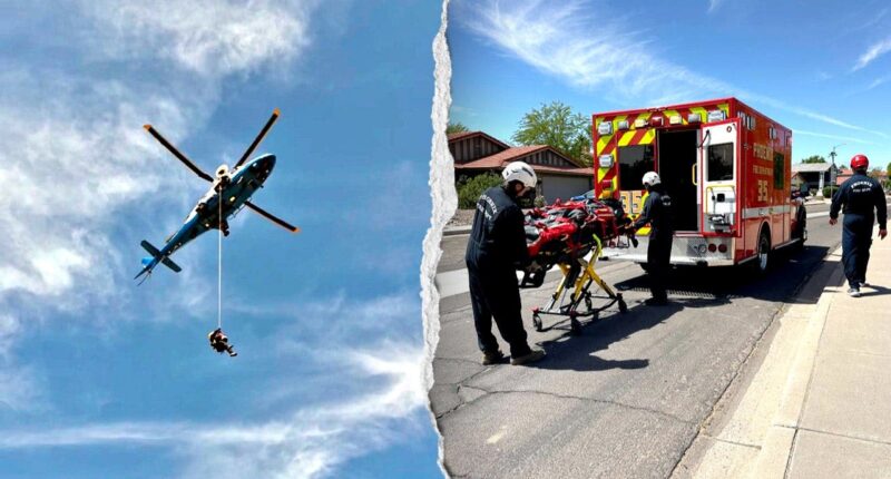 Hiker stung more than 100 times by bees near Arizona mountain summit, airlifted in critical condition