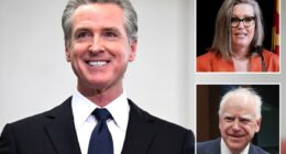 Hollywood elite in secret gathering at liquor heiress's mansion to shower Dem presidential candidates with cash