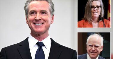 Hollywood elite in secret gathering at liquor heiress's mansion to shower Dem presidential candidates with cash