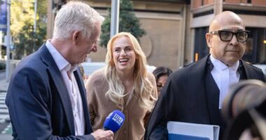 Hollywood star Rebel Wilson's role in malicious smear website probed