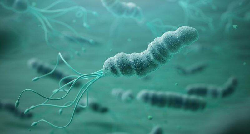 Home spit test could spot early signs of stomach cancer, claims study