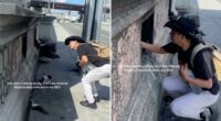 Homeless found living inside bridge pillars over LA River in latest disturbing discovery