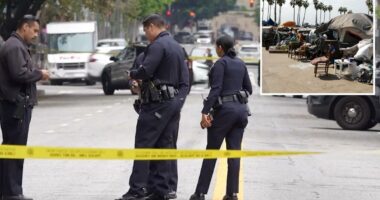 Homeless man accused of random stabbing of elderly woman in neck on DTLA street was suspected in 2025 encampment killing
