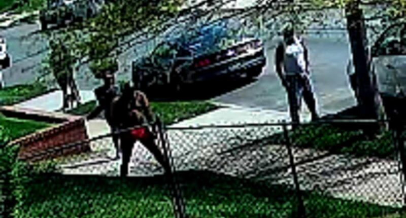 Homeowner stabs three people who let their dog pee on his lawn