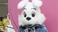 Horror as man charged with groping mall Easter BUNNY
