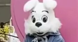 Horror as man charged with groping mall Easter BUNNY