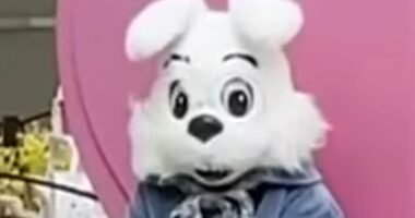Horror as man charged with groping mall Easter BUNNY