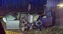 Horror as one teen dies and four are rushed to hospital in 'DUI' crash