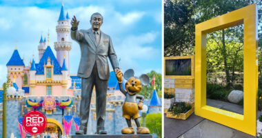 How Disneyland Resort and National Geographic are celebrating Earth Month