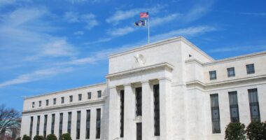 How Interest Rate Shifts Shape Investor Strategy