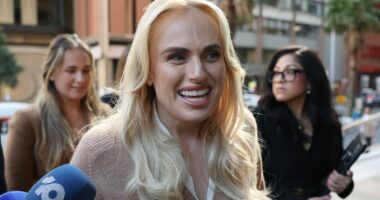 How Rebel Wilson's harassment allegations were sparked by a hot bath