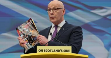 How can Swinney stoop so low? Peer's outrage over Nats Sinn Fein plan