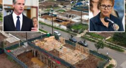 Humiliating report reveals LA wildfire victims trapped in a rebuild 'nightmare'