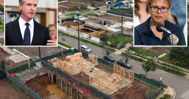 Humiliating report reveals LA wildfire victims trapped in a rebuild 'nightmare'